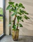 Plante artificielle Alocasia verte | 170 cm