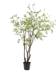 Kunstplant Bucida Groen | 244 cm