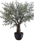 Kunstpflanze Olivenbaum Grün | 240 cm