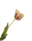 Flor artificial Tulipán Acero Rojo/Verde RT | 71 cm