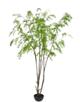 Planta artificial verde | 280 cm
