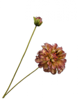 Artificial Flower Zinnia Branch Green/Burgundy REAL TOUCH | 62 cm