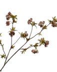 Kunstblume Campanula Zweig Grün/Braun | 112 cm