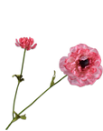 Kunstbloem Ranonkel Tak Roze Real Touch | 63 cm