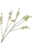 Kunstblume Crocosmia Zweig Grün | 117 cm