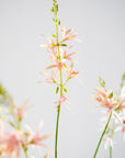 Kunstbloem Crocosmia Tak Roze/Groen | 117 cm