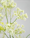 Rama de eneldo artificial blanco | 105 cm