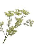 Kunstblume Dill Zweig Grün | 105 cm