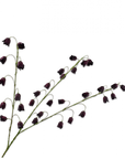 Kunstbloem Fritillaria Tak Bordeaux | 97 cm