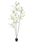 Kunstplant Bucida Groen | 235 cm