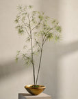 Kunstpflanze Schefflera Grün | 223 cm