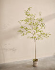 Kunstplant Bucida Groen | 220 cm
