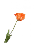 Flor artificial Tulipán Acero Naranja RT | 72 cm