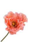 Flor Artificial Rama de Amapola Salmón | 76 cm