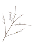 Kunstbloem Bloesem Tak Wit | 121 cm
