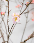 Kunstbloem Bloesem Tak Roze | 154 cm