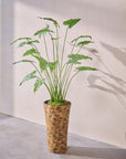 Kunstplant Alocasia Groen | 133 cm