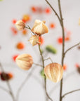 Kunstbloem Physalis Tak Lichtbruin | 125 cm