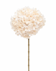 Kunstbloem Hortensia Tak Creme | 65 cm