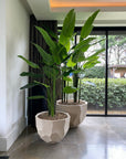 DOMANI pot BILBAO | Natural White - NU PUUR & GROEN