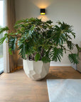 DOMANI pot BILBAO | Natural White - NU PUUR & GROEN