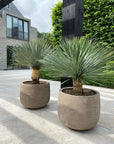 DOMANI pot "GRAZ" | Natural Grey - NU PUUR & GROEN