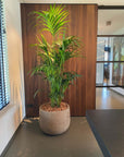 DOMANI pot "GRAZ" | Natural Sand - NU PUUR & GROEN