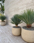 DOMANI pot "GRAZ" | Natural White - NU PUUR & GROEN