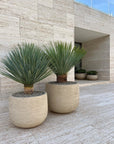 DOMANI pot "GRAZ" | Natural White - NU PUUR & GROEN