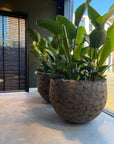 DOMANI pot LAVA | Natural Brown - NU PUUR & GROEN