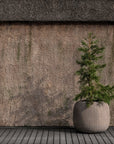 DOMANI pot MELIDES | Khaki - NU PUUR & GROEN