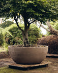 DOMANI pot "TEXEL" | Natural Sand - NU PUUR & GROEN