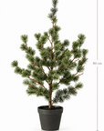 Exclusive Winter Pine | Luxe Kunst Dennenboom 80 cm - NU PUUR & GROEN