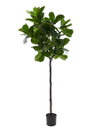 Kunstplant Ficus Groen | 210 cm