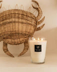 Geurkaars All Seasons Madagascar Vanilla | Grande 24 - NU PUUR & GROEN