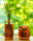 Geurkaars Eclectic | Ginger Fig - NU PUUR & GROEN