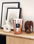 Geurkaars Les Exclusives Roseum | Monument 35 - NU PUUR & GROEN