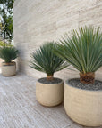 DOMANI Topf "GRAZ" | Natural White