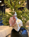 Mexicaanse Schelp | Kerst ornament