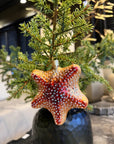 Kerst ornament | Rode zeester | 10 cm - NU PUUR & GROEN