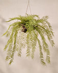 Kunst Hangplant Varen Groen | 119 cm - NU PUUR & GROEN