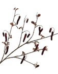 Kunstbloem Alnus Tak Bordeaux | 113 cm - NU PUUR & GROEN