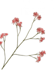 Kunstbloem Astrantia Tak Roze | 95 cm - NU PUUR & GROEN