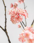 Kunstbloem Bloesem Tak Roze | 110 cm - NU PUUR & GROEN