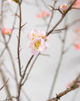Kunstbloem Bloesem Tak Roze | 154 cm - NU PUUR & GROEN