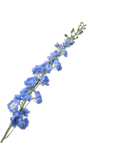 Kunstbloem Delphinium Steel Blauw | 127 cm - NU PUUR & GROEN