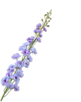 Kunstbloem Delphinium Steel Lavendel | 127 cm - NU PUUR & GROEN
