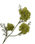 Kunstbloem Dille Tak Groen | 74 cm - NU PUUR & GROEN