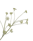 Kunstbloem Dille Tak Groen | 96 cm - NU PUUR & GROEN