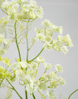 Kunstbloem Dille Tak Wit | 105 cm - NU PUUR & GROEN